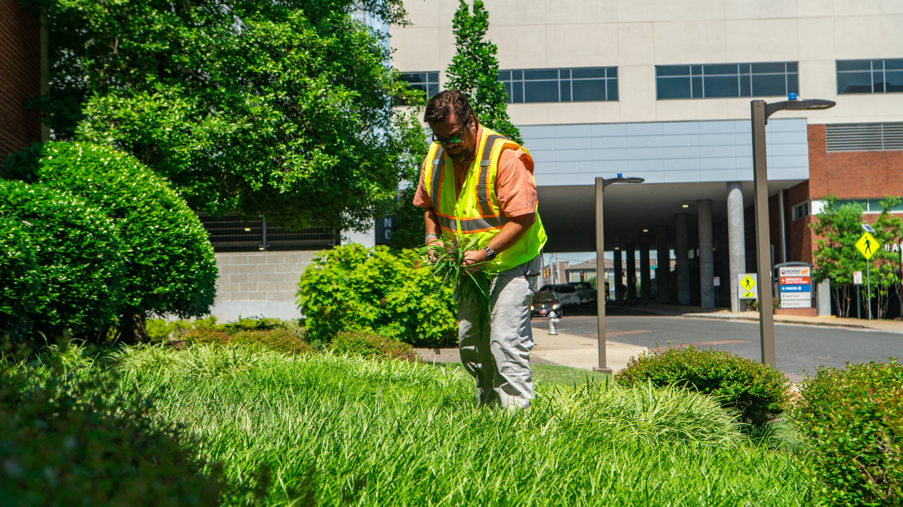 commercial landscaping maintenance